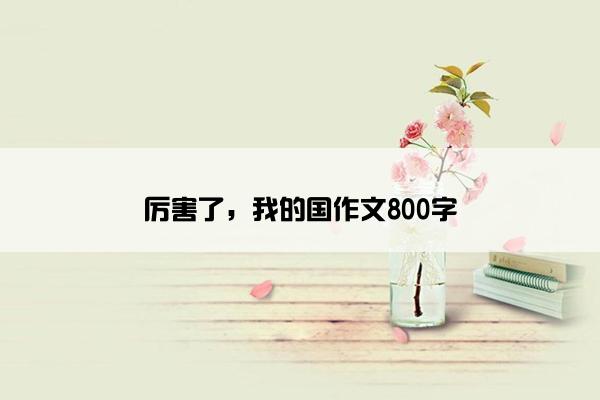 厉害了，我的国作文800字