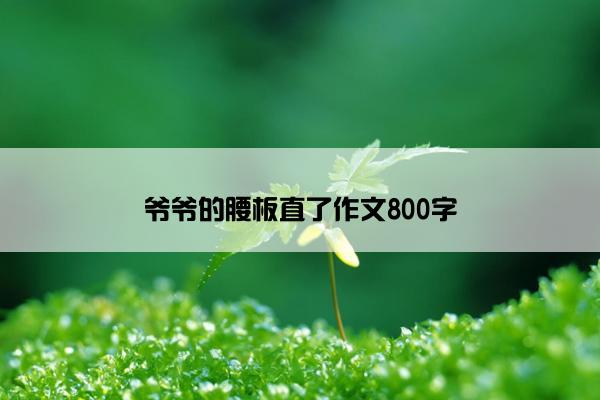 爷爷的腰板直了作文800字