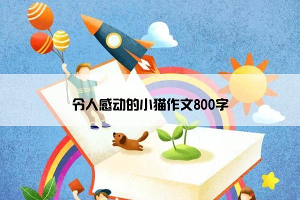 令人感动的小猫作文800字