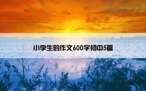 小学生的作文600字初中5篇