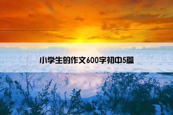 小学生的作文600字初中5篇