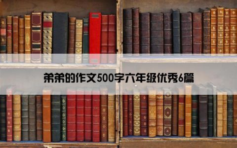 弟弟的作文500字六年级优秀6篇