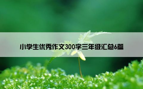 小学生优秀作文300字三年级汇总6篇