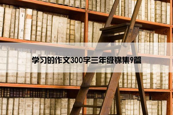 学习的作文300字三年级锦集9篇