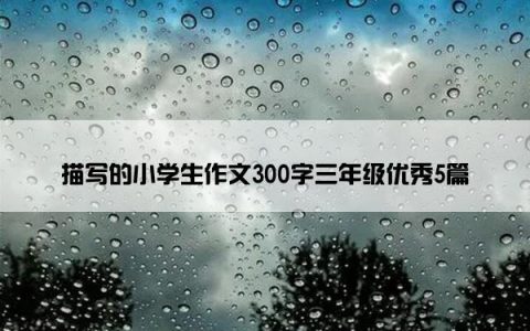 描写的小学生作文300字三年级优秀5篇