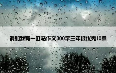 假如我有一匹马作文300字三年级优秀10篇