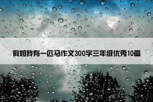 假如我有一匹马作文300字三年级优秀10篇