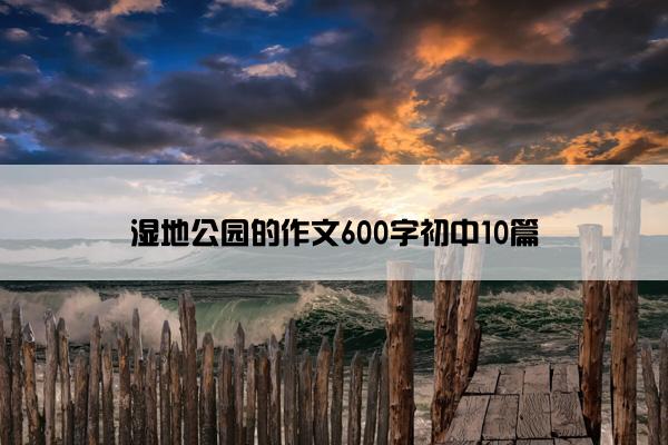 湿地公园的作文600字初中10篇