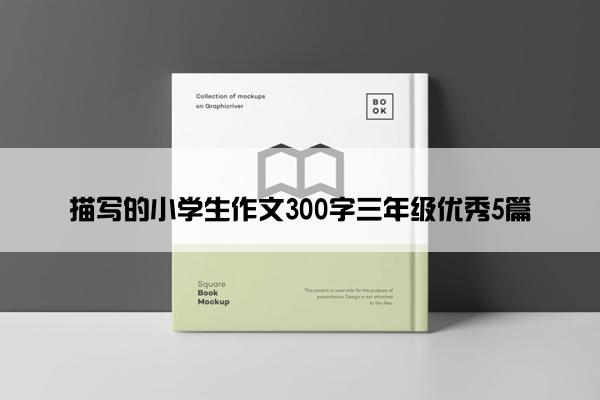 描写的小学生作文300字三年级优秀5篇