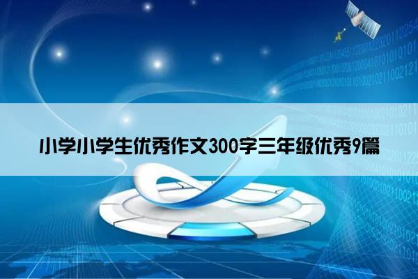 小学小学生优秀作文300字三年级优秀9篇