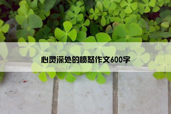 心灵深处的愤怒作文600字