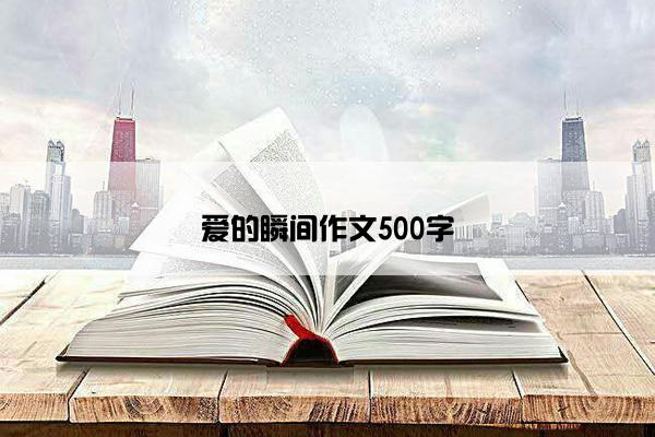 爱的瞬间作文500字