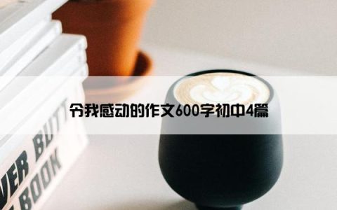 令我感动的作文600字初中4篇