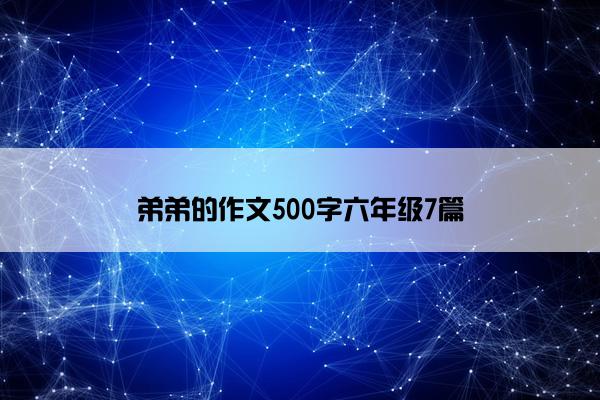 弟弟的作文500字六年级7篇