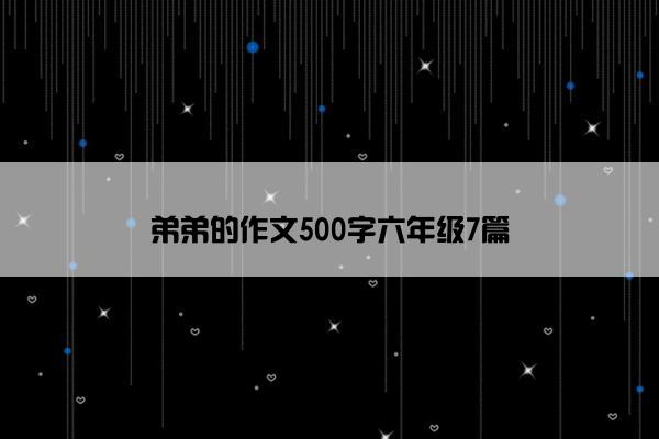 弟弟的作文500字六年级7篇