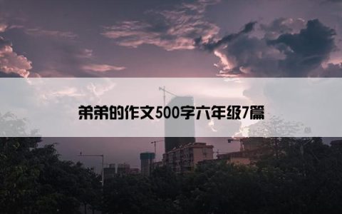 弟弟的作文500字六年级7篇