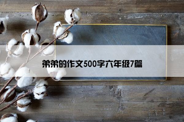 弟弟的作文500字六年级7篇