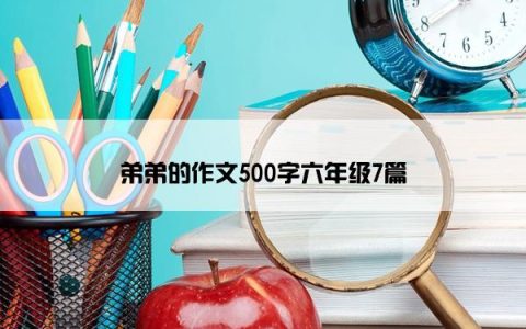 弟弟的作文500字六年级7篇