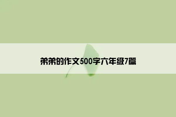 弟弟的作文500字六年级7篇