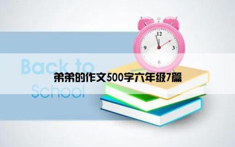 弟弟的作文500字六年级7篇