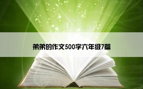 弟弟的作文500字六年级7篇