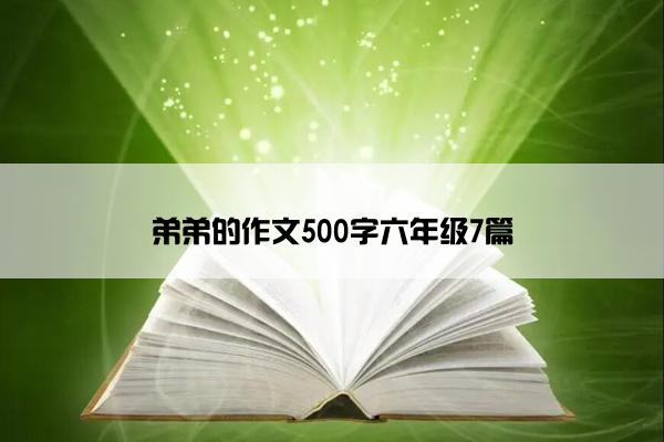 弟弟的作文500字六年级7篇