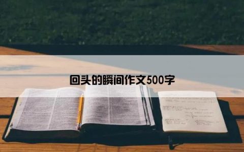 回头的瞬间作文500字