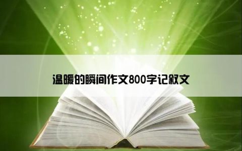 温暖的瞬间作文800字记叙文