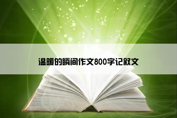 温暖的瞬间作文800字记叙文