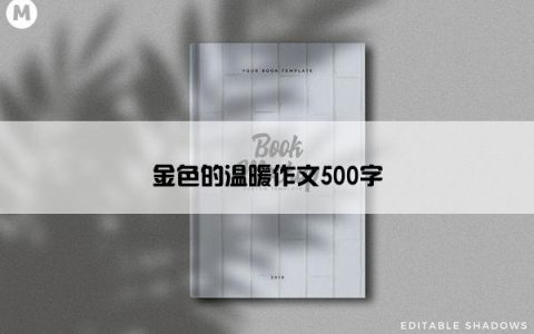 金色的温暖作文500字
