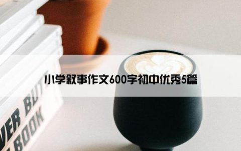 小学叙事作文600字初中优秀5篇