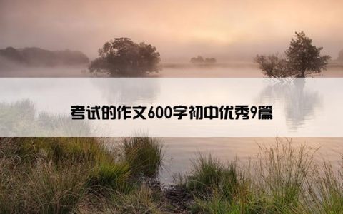 考试的作文600字初中优秀9篇