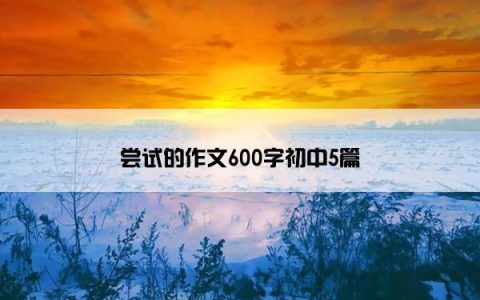 尝试的作文600字初中5篇