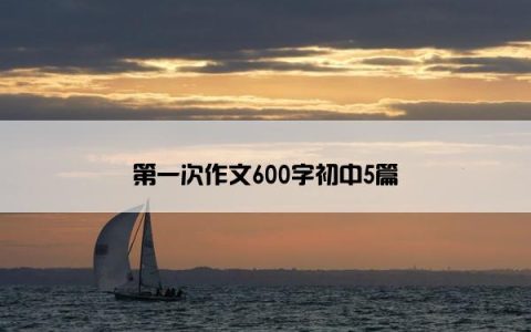 第一次作文600字初中5篇