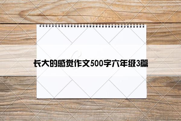 长大的感觉作文500字六年级3篇