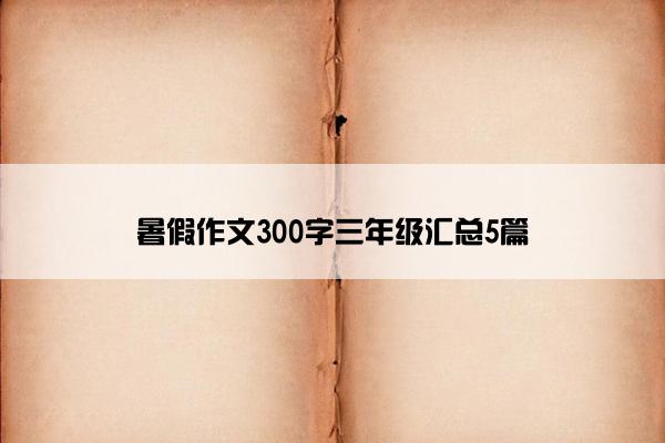 暑假作文300字三年级汇总5篇