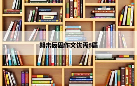 期末反思作文优秀5篇