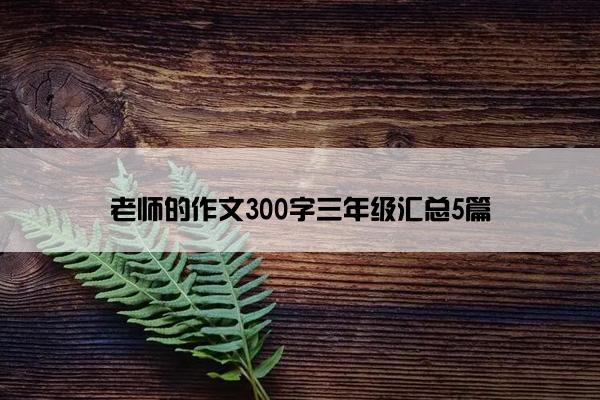 老师的作文300字三年级汇总5篇