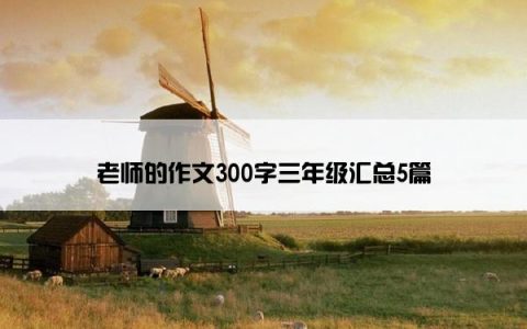 老师的作文300字三年级汇总5篇