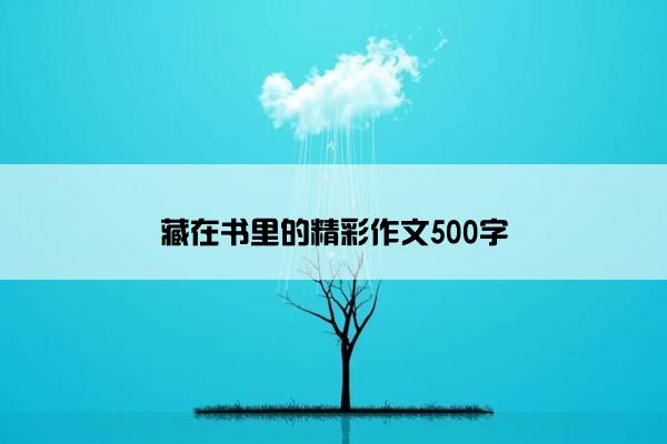 藏在书里的精彩作文500字