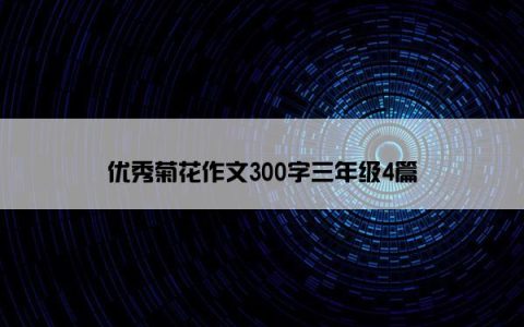 优秀菊花作文300字三年级4篇