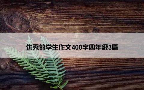 优秀的学生作文400字四年级3篇