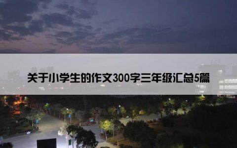 关于小学生的作文300字三年级汇总5篇