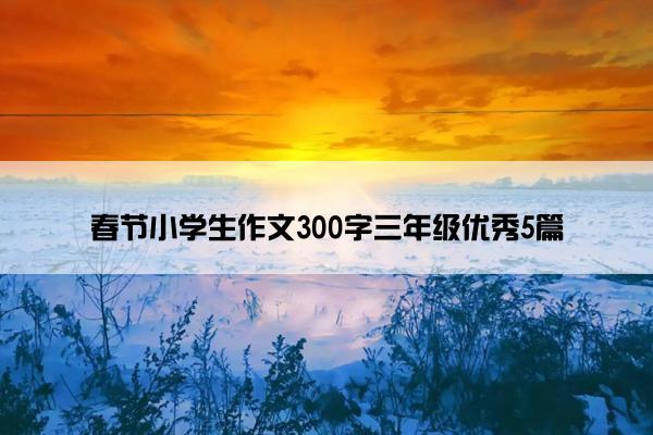 春节小学生作文300字三年级优秀5篇