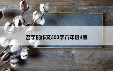 名字的作文500字六年级4篇