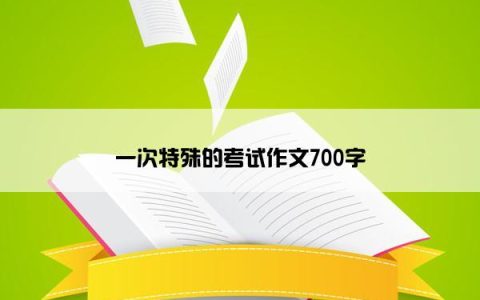 一次特殊的考试作文700字