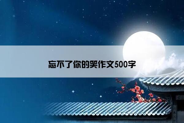 忘不了你的笑作文500字