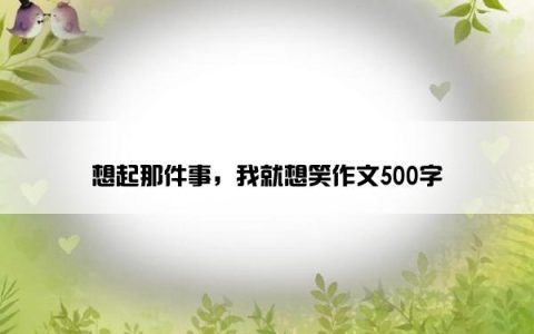 想起那件事，我就想笑作文500字