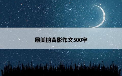 最美的背影作文500字
