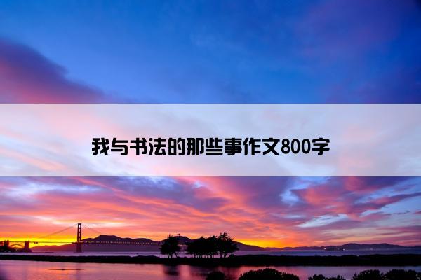 我与书法的那些事作文800字